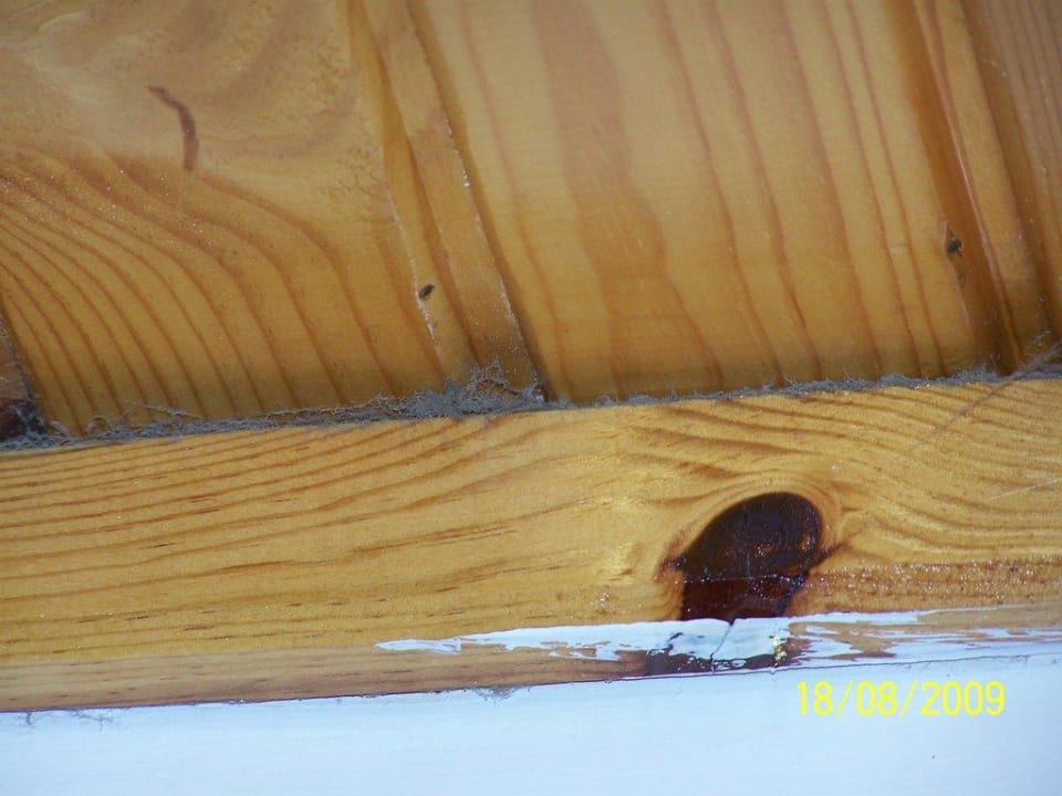 Staub und Dreck Club Turtas Beach Hotel