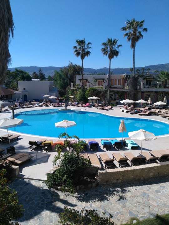 Pool Apollon Hotel