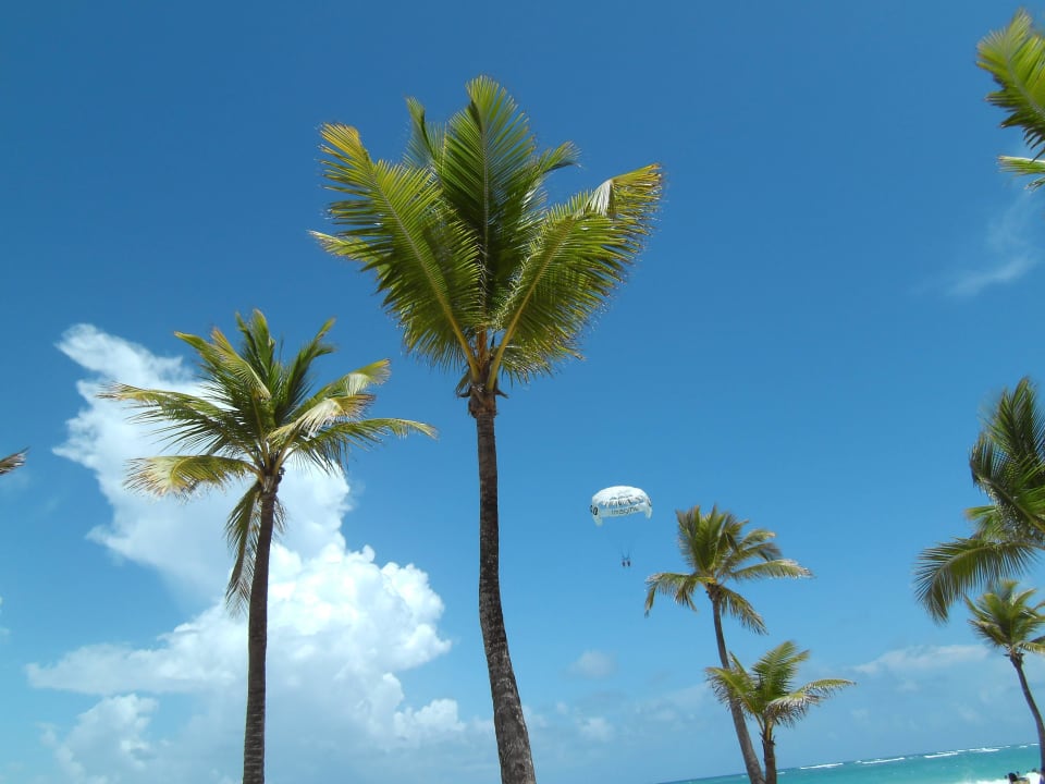 Der Traum vom Fliegen Hotel Riu Bambu