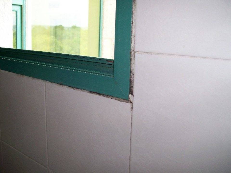 Schimmel im Bad Hotel Borjana