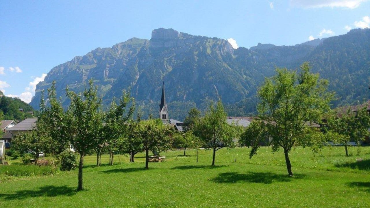 Blick auf unsere Wiese Apartment Angelika