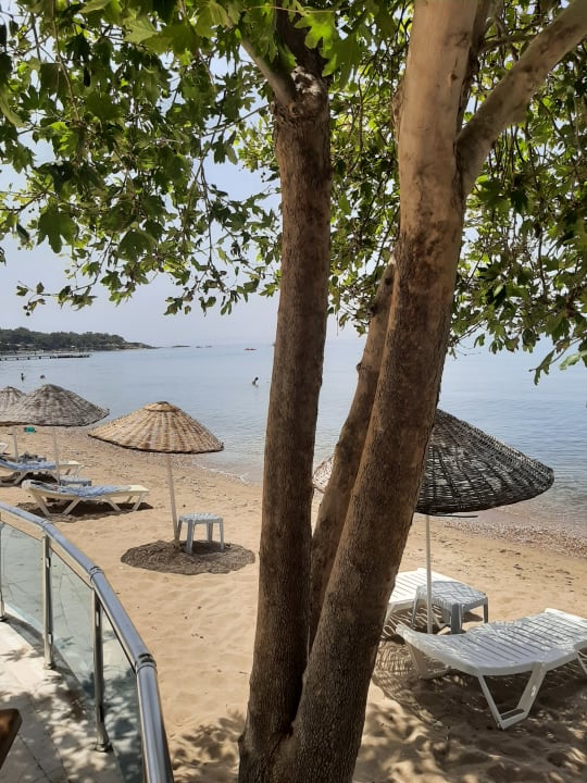 Strand Dogan Paradise Beach