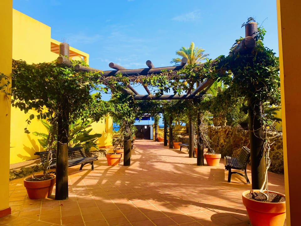 Gartenanlage H10 Playa Esmeralda - Adults only
