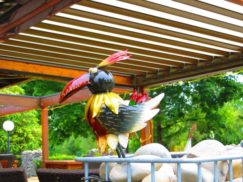 Unser Gast beim Frühstück und Abendessen Hotel Fischerklause