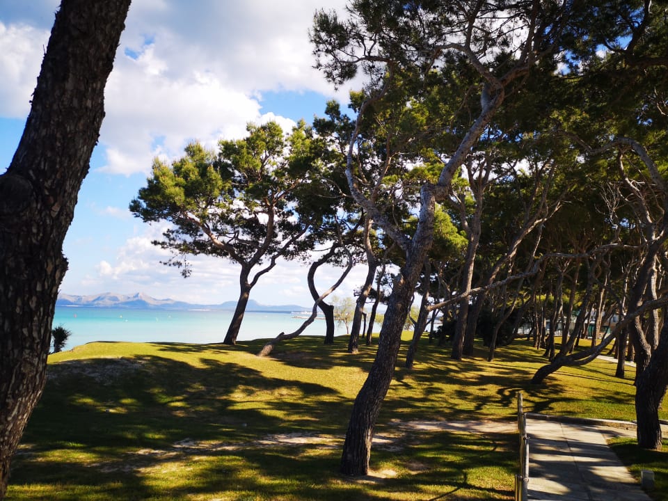 Gartenanlage Iberostar Waves Playa de Muro
