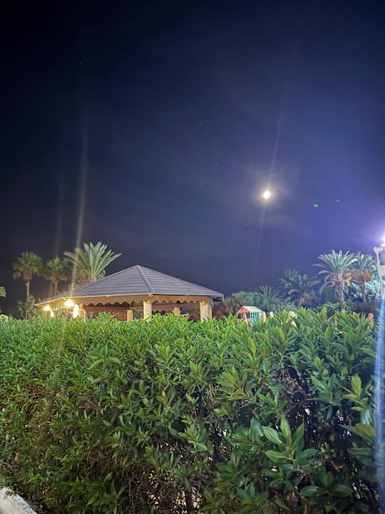 Gartenanlage Hotel Paradis Palace