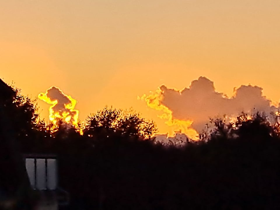 Ausblick Ostseehotel Wustrow