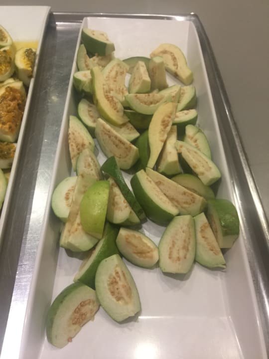 Gastro Wyndham Alltra Samana