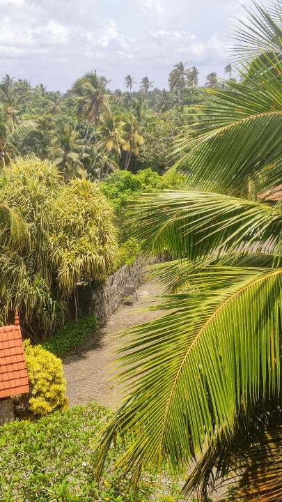 Ausblick Taj Bentota Resort & Spa
