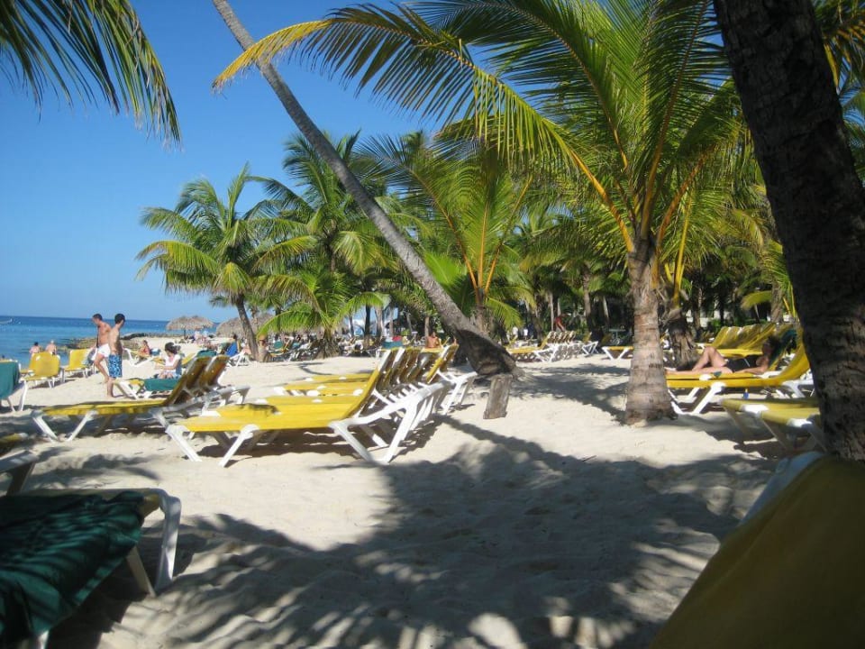 Strand Hotel Viva Dominicus Palace by Wyndham-All Inclusive Resort