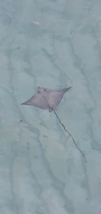 Sport & Freizeit NH Collection Maldives Havodda Resort