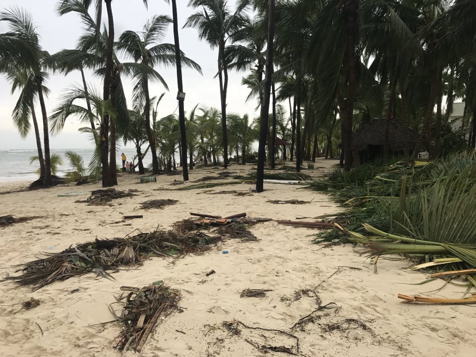 Strand Hotel Riu Palace Punta Cana