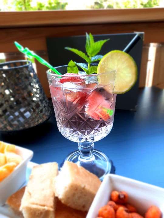 Gastro Hotel Alte Mühle