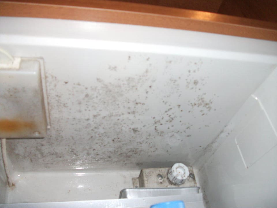 Unser Kühlschrank Hotel Royal Garden Palace