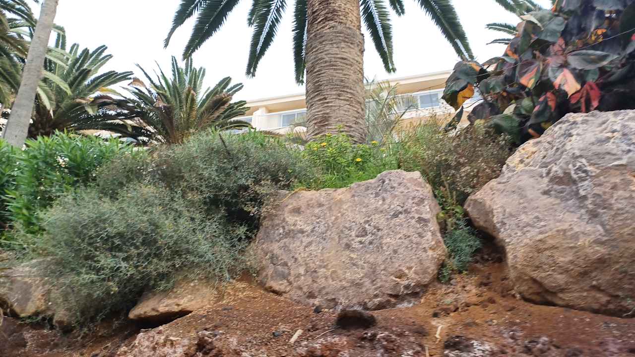 Gartenanlage Club Hotel Drago Park