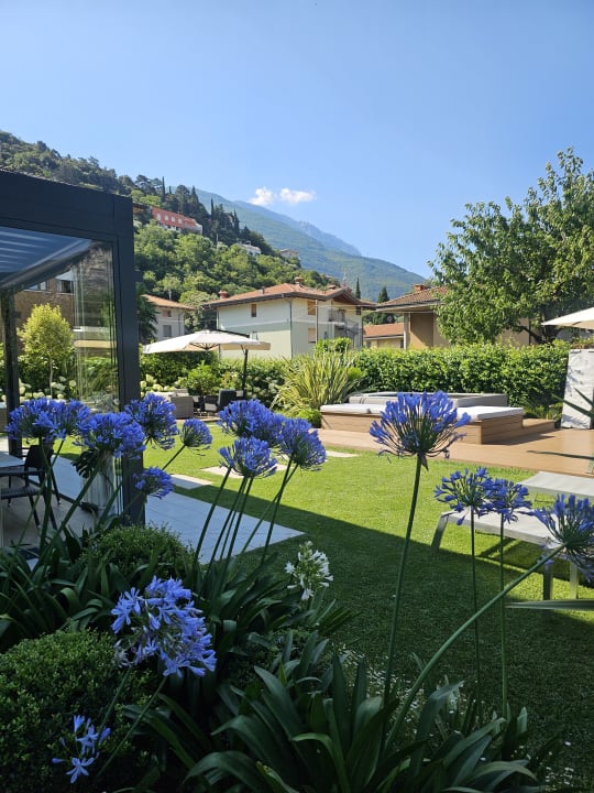 Pool Hotel Villa Alberta