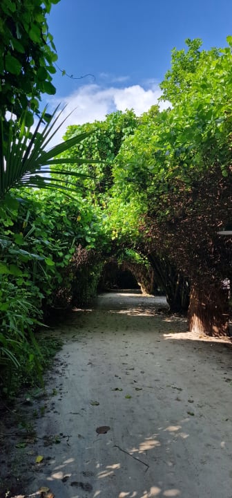 Gartenanlage Adaaran Select Meedhupparu Island Resort - Premium All Inclusive