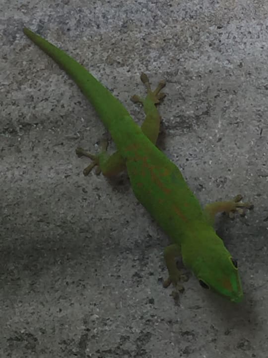 Sonstiges La Digue Island Lodge