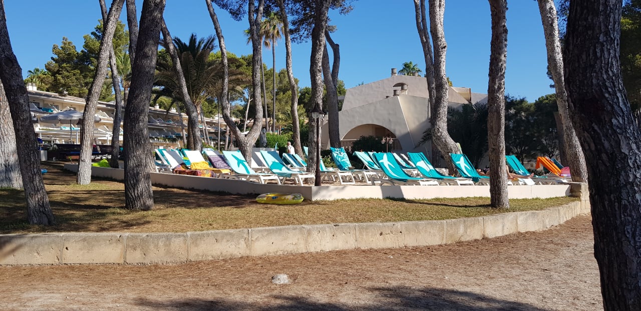 Gartenanlage Iberostar Waves Pinos Park