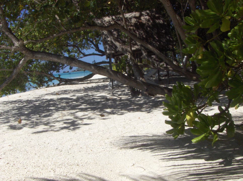 Strand Summer Island Maldives