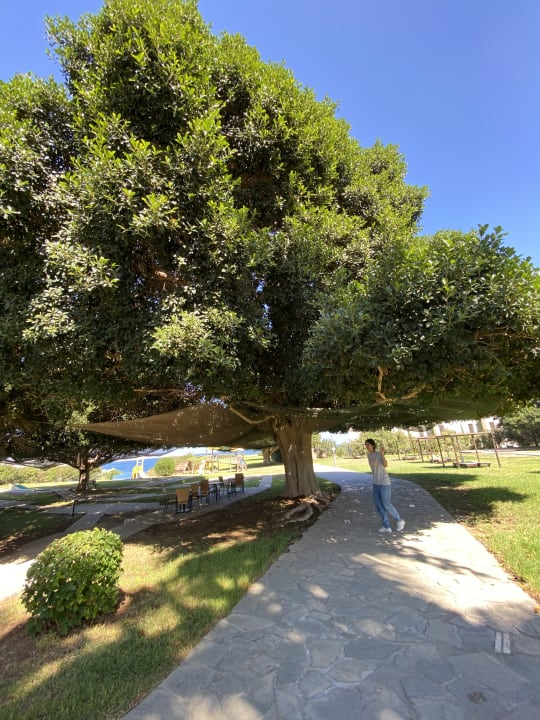 Außenansicht Kresten Palace Hotel