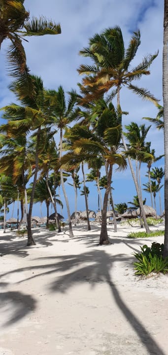 Strand Catalonia Punta Cana - All Inclusive