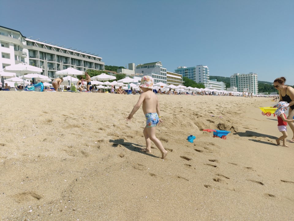 Strand Sentido Marea