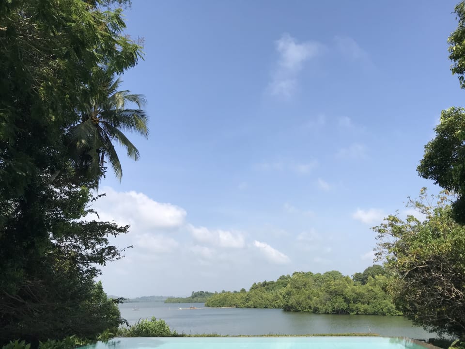 Gartenanlage Roman Lake Ayurveda Resort