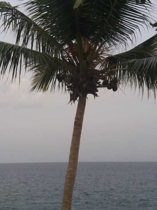 Sonstiges Bahia Principe Grand Samana - Adults Only