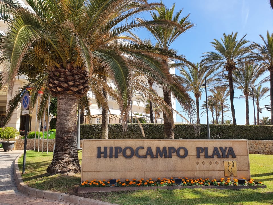 Außenansicht Hipotels Hipocampo Playa