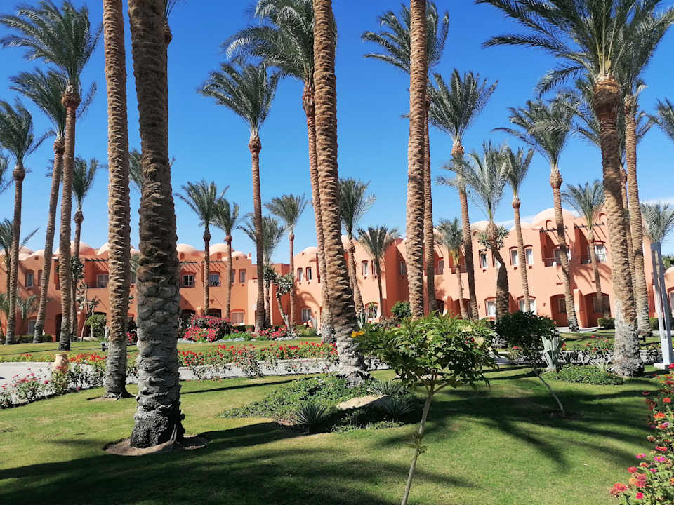 Gartenanlage Jaz Makadi Oasis Resort