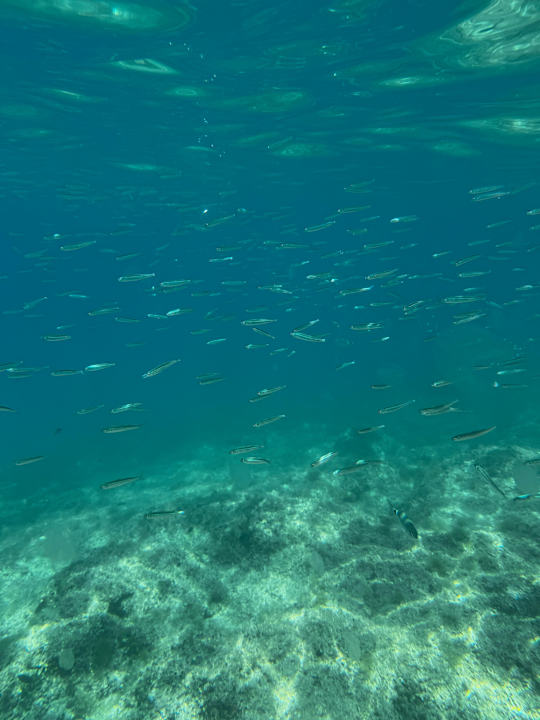 Sonstiges Maistra Select Belvedere Resort