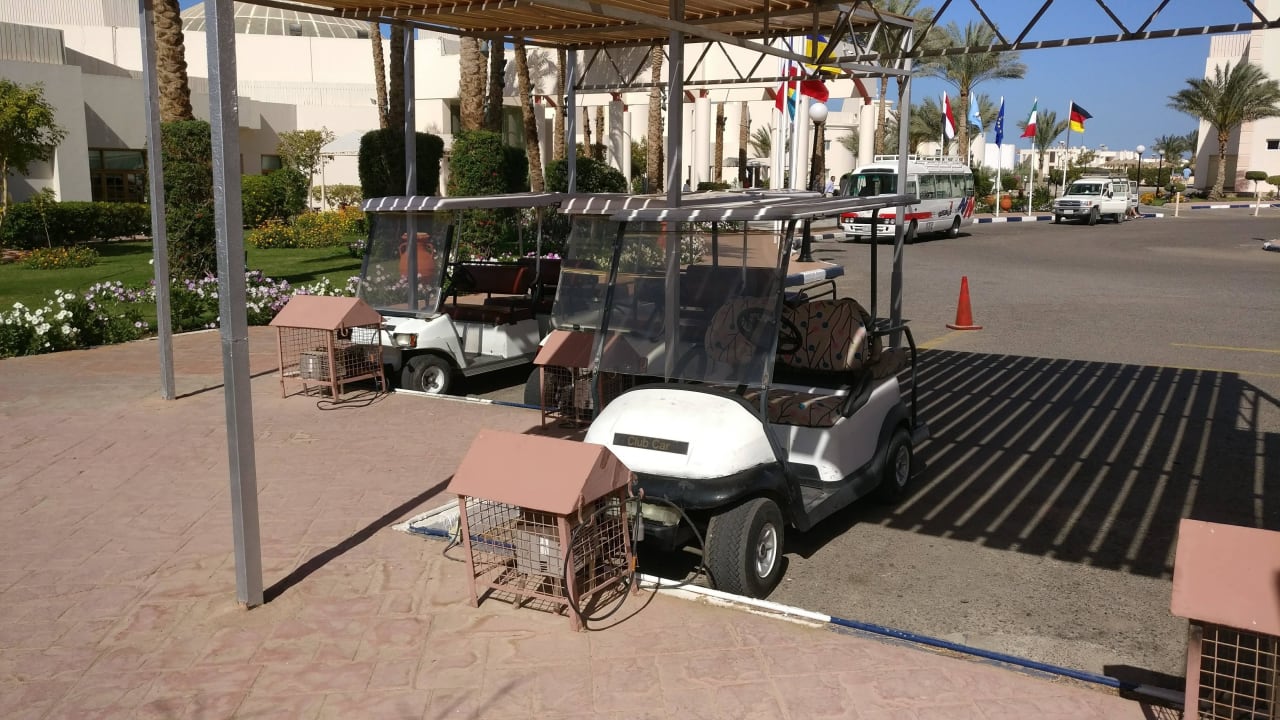 Gepäckwagen Hurghada Long Beach Resort