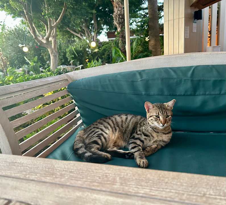 Außenansicht Nerton Hotel - Erwachsenenhotel ab 16 Jahren