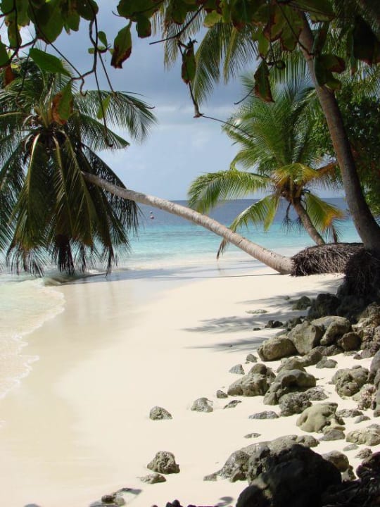 Strandidylle Fihalhohi Maldives