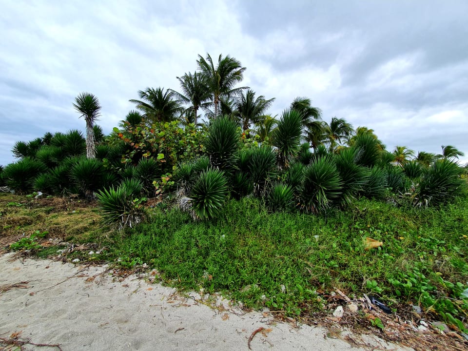 Strand Blau varadero - Adults only