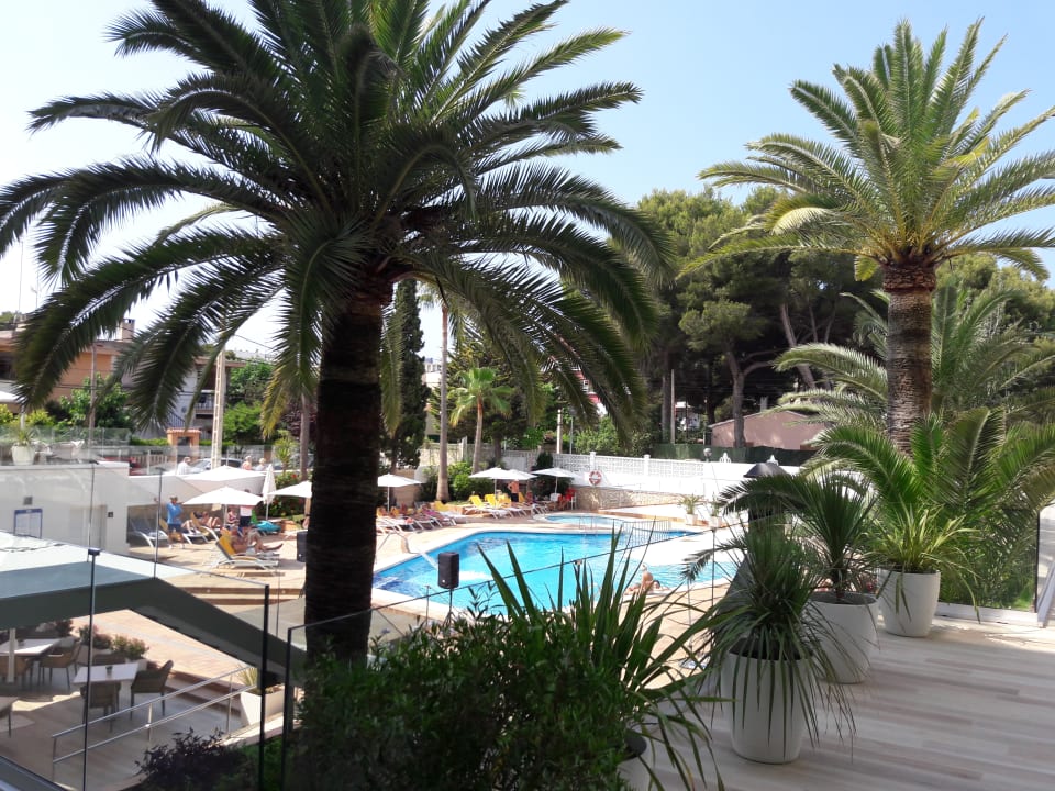 Pool allsun Hotel Cristóbal Colón