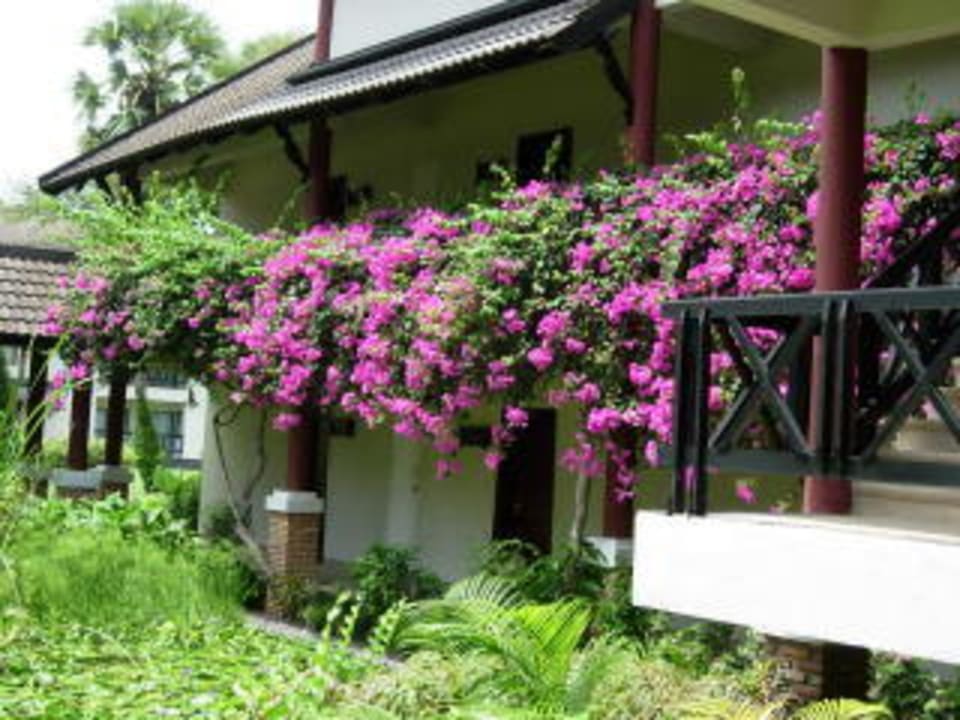 Club Med Club Med Phuket