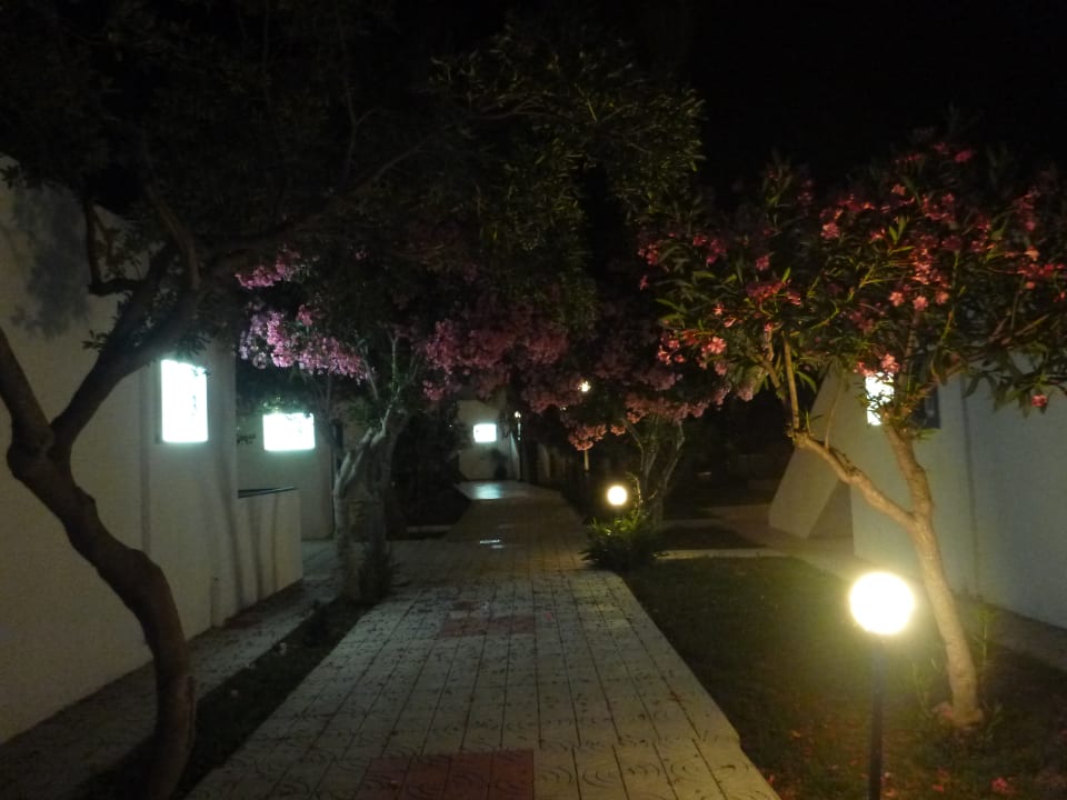 Gartenanlage Hotel Tigaki's Star