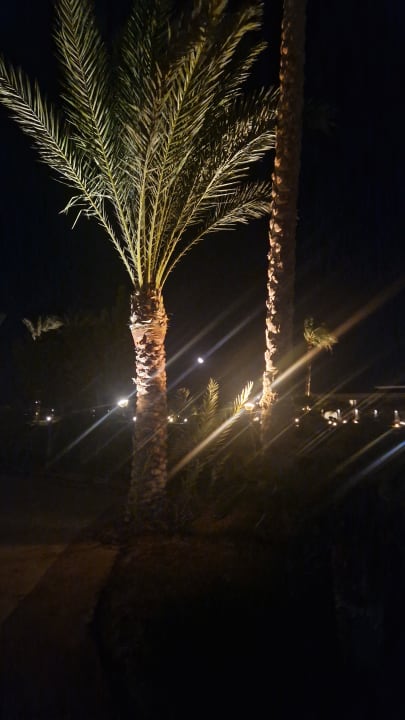 Gartenanlage Cleopatra Luxury Resort Makadi Bay