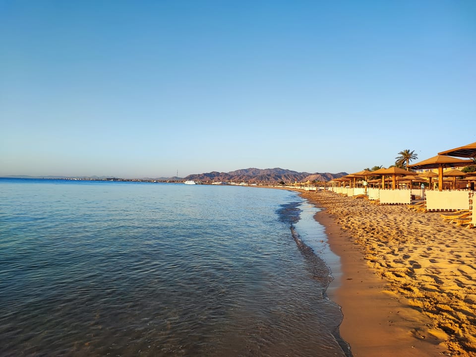 Strand Shams Prestige Abu Soma-Adults Only