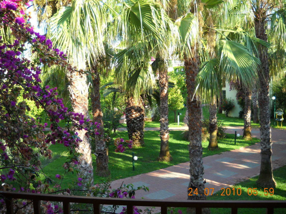 Ausblick VONRESORT Golden Beach