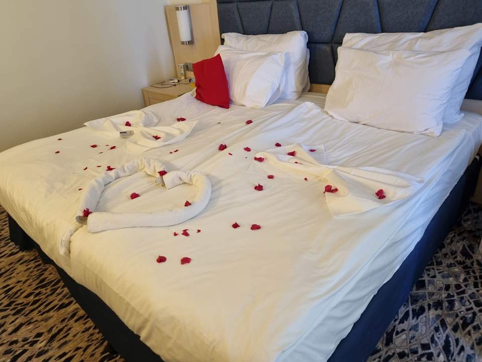 Zimmer Kamelya Fulya Hotel