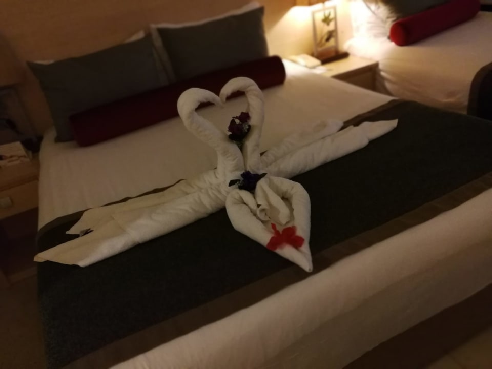 Zimmer PALOMA Perissia