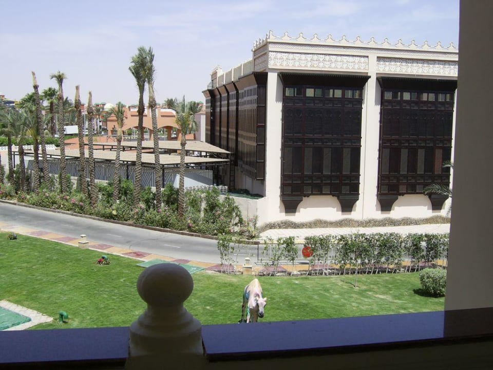 Blick vom Balkon  Pickalbatros Palace Resort