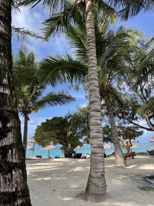 Strand Crystals Beach Resort Belle Mare, a member of Radisson Individuals