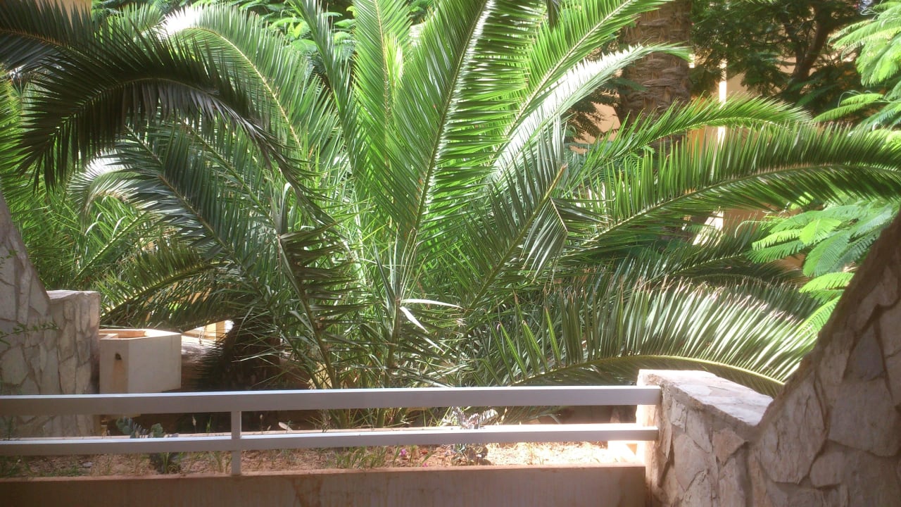 Balkon SBH Costa Calma Beach Resort