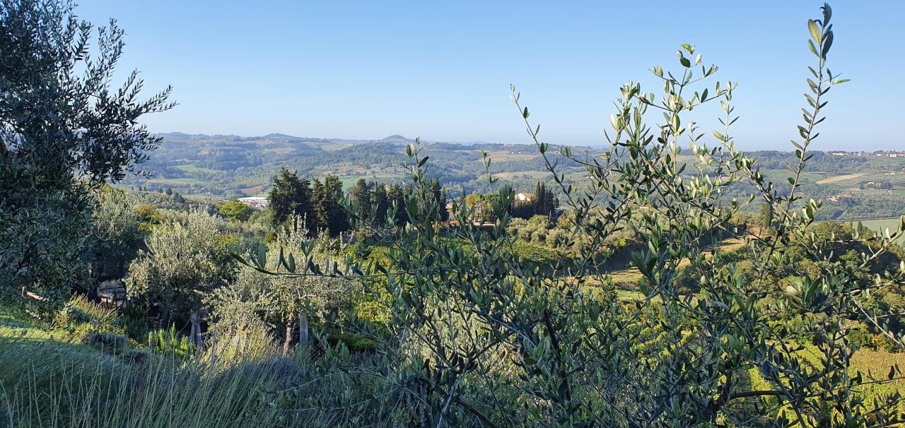 Ausblick Villa I Barronci