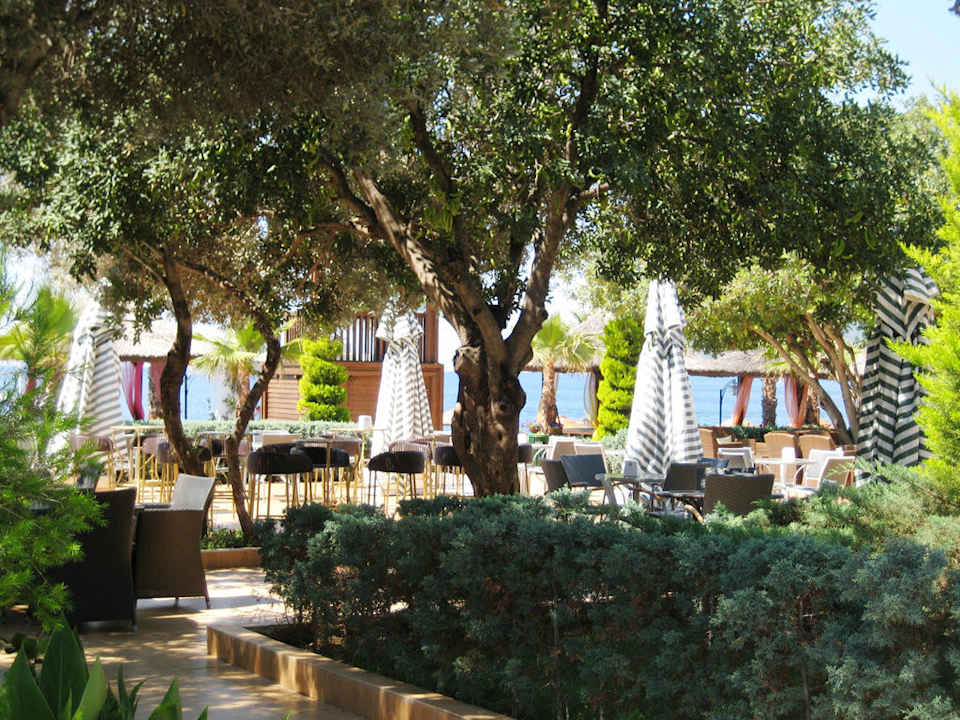 Garden Latanya Park Resort