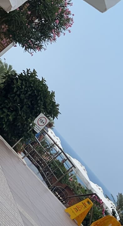 Sonstiges Dream Family Club